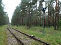 Light blocking signal on the branch line from Fürstenwalde to Bad Saarow-Pieskow in the wooded area (Copyright: DB InfraGO AG, Digitale Schiene Deutschland)