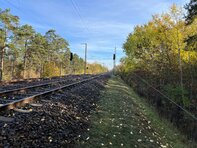 Bahndamm des westlichen Berliner Außenrings (Copyright: DB InfraGO AG)